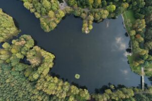 Sosnowiec rozpoczął remont parku przy Bulwarach Czarnej Przemszy