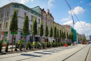 Katowice. Zielona przebudowa ulicy Warszawskiej na ostatniej prostej