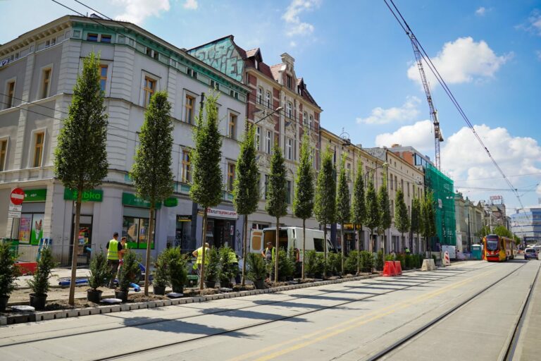 Katowice. Zielona przebudowa ulicy Warszawskiej na ostatniej prostej