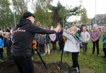 Święto Drzewa w Katowicach