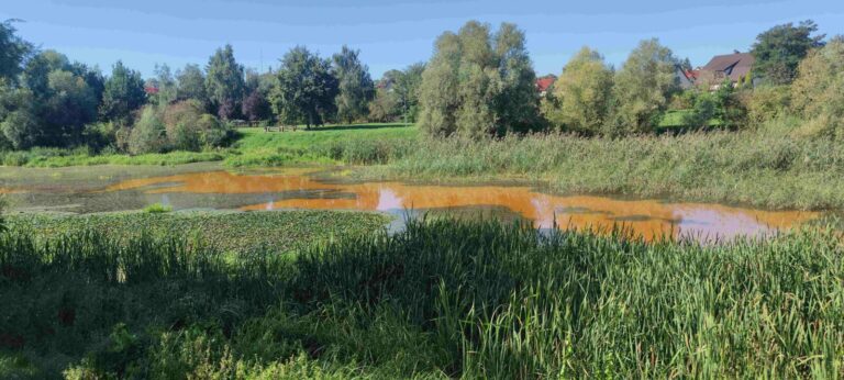 Szczecin. Jezioro Słoneczne zanieczyszczone nieznaną substancją