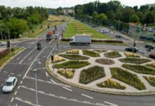 Wi臋cej zieleni na toru艅skich rondach