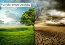 #wybieramsrodowisko. Parlamentarne tuż, tuż – samorządowe za pasem Ikona akcji #wybieramsrodowisko