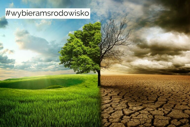 #wybieramsrodowisko. Parlamentarne tuż, tuż - samorządowe za pasem