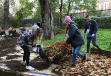 Studenci Politechniki Krakowskiej stworzyli “glebarium”
