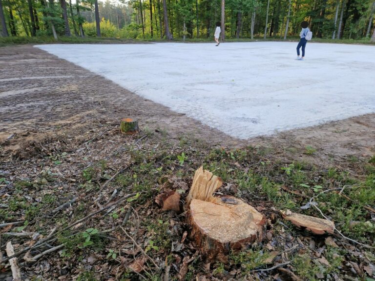 Akcję sadzenia drzew z prezydentem Andrzejem Dudą poprzedziła wycinka