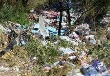 Kraków. Od stycznia do sierpnia usunięto 644 dzikie wysypiska