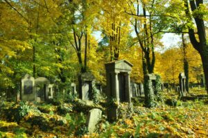Cmentarze żydowskie pełne życia
