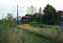 Zielone korytarze tramwajowe