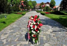 Rewitalizacja placu Grunwaldzkiego w Świdnicy z rządowym dofinansowaniem