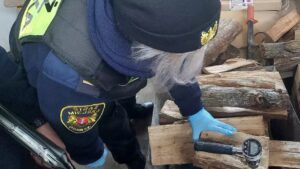 Badania próbek popiołu u podejrzewanych o palenie odpadami