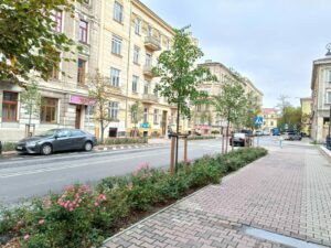 Lublin wciąż inwestuje w zieleń