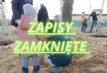 Rezerwacje drzew dla dzieci w parku Krakowian wyczerpane w 8 minut