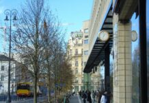 Warszawa. Na placu Trzech Krzyży sadzą duże drzewa. Koszt jednego to blisko 14 tys. zł