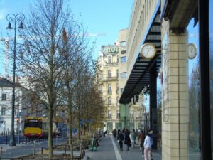 Warszawa. Na placu Trzech Krzyży sadzą duże drzewa. Koszt jednego to blisko 14 tys. zł