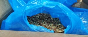 Funkcjonariusze KAS zatrzymali transport 18 ton przeterminowanych bakalii - to nielegalny transport odpadów
