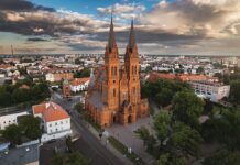 Włocławek zyska nowe nasadzenia drzew