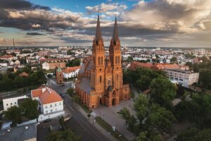 Włocławek zyska nowe nasadzenia drzew