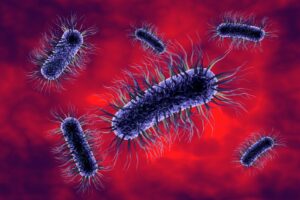 W Ślemieniu na Żywicczyźnie woda pitna zakażona Escherichia coli