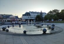 Ponad milion zł na program “Zielone Suwałki”