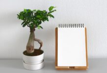 Nowe projekty programu LIFE z akceptacją Brukseli Planowanie przedsięwzięć ekologicznych