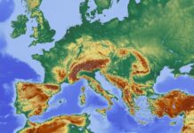 Analiza: około jedna piąta gatunków roślin i zwierząt Europy zagrożona wymarciem