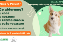 “Ciepły Paluch” oto akcja MPO Warszawa w trosce o zwierzęta znajdujące się w schronisku
