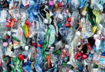 Polska branża recyklingu na granicy bankructwa recykling