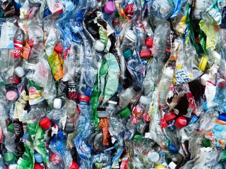 Polska branża recyklingu na granicy bankructwa
