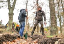 Warszawa. Na Białołęce posadzono 3 tys. drzew