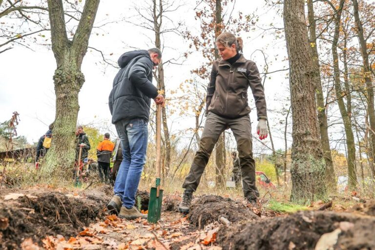 Warszawa. Na Białołęce posadzono 3 tys. drzew