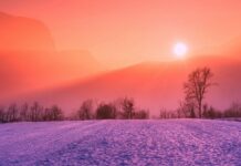 Prawo o odbudowie zasobów przyrodniczych przyroda