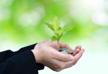 Blisko 1,6 mld zł na ochronę przyrody ze środków europejskich. Na co dokładnie można składać wnioski?