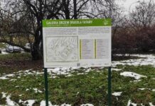 W Lublinie powstała nowa ścieżka edukacyjna