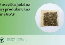 Naukowcy z SGGW opracowali jadalne opakowania, przyjazne dla środowiska