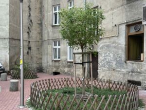 Wrocław. Program Nasze Podwórko z dofinansowaniem do 100 tys. zł i dzierżawą za 1 zł