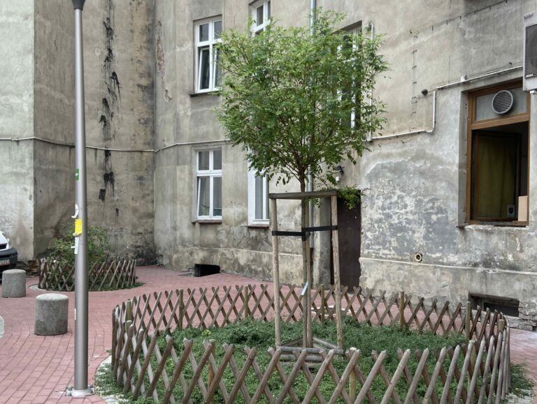 Wrocław. Program Nasze Podwórko z dofinansowaniem do 100 tys. zł i dzierżawą za 1 zł