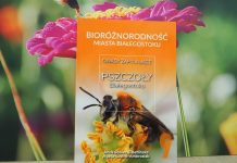 Kolejna publikacja Białegostoku na temat bioróżnorodności już dostępna