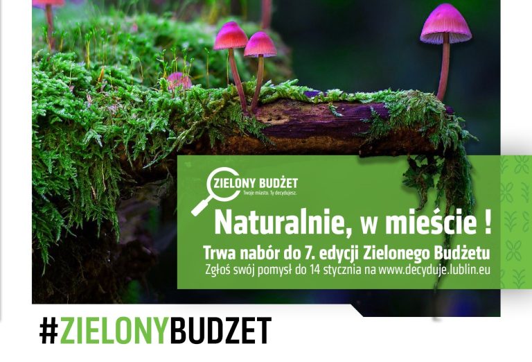 W Lublinie trwa nabór projektów Zielonego Budżetu