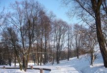 Nowy park na mapie Mikołowa – to przestrzeń integrująca różne pokolenia