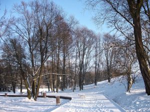 Nowy park na mapie Mikołowa – to przestrzeń integrująca różne pokolenia