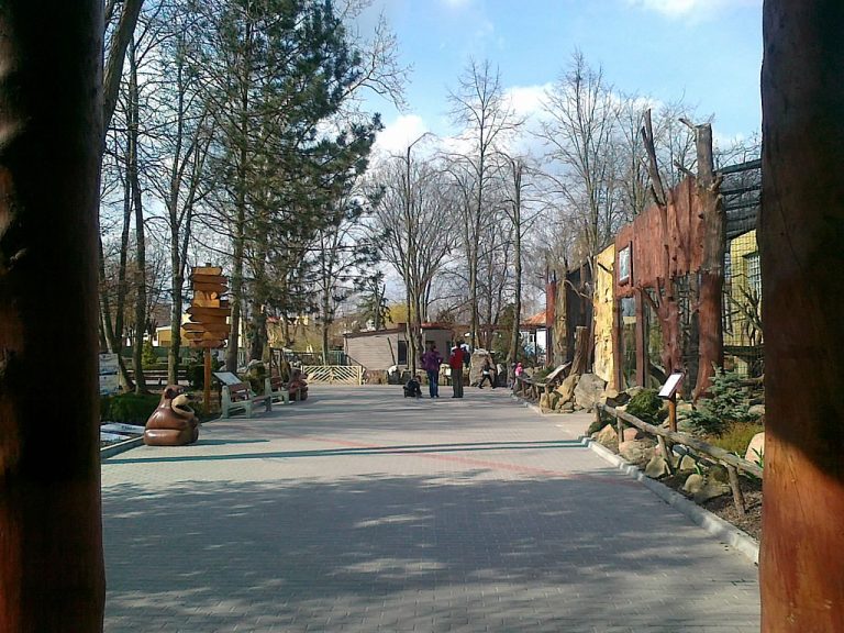 Płock. Zoo zakończyło budowę instalacji fotowoltaicznych do obsługi ogrodu
