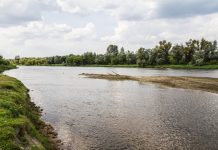 Mazowieckie. Wysoki poziom Bugu spowodował częściowe zalanie wsi Młynarze