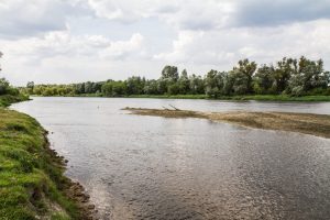 Mazowieckie. Wysoki poziom Bugu spowodował częściowe zalanie wsi Młynarze