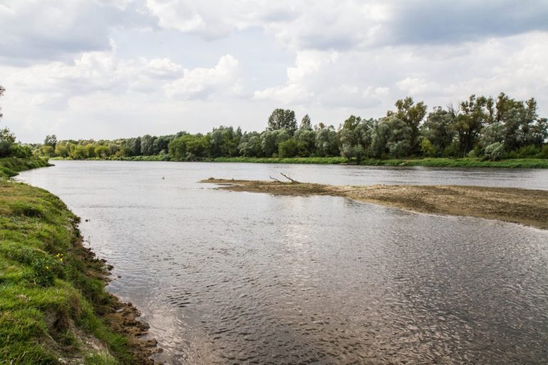 Mazowieckie. Wysoki poziom Bugu spowodował częściowe zalanie wsi Młynarze
