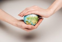 Rusza program edukacyjny “Klimatyczne Katowice” dla uczni贸w szk贸艂 podstawowych
