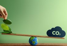 Wiceminister Zielińska: Polska zwiększy wysiłki na rzecz neutralności klimatycznej