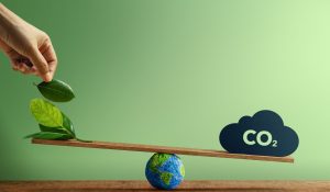 Wiceminister Zielińska: Polska zwiększy wysiłki na rzecz neutralności klimatycznej