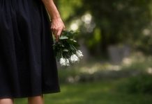 Warszawa. Nie ma możliwości utworzenia Lasu Pamięci na cmentarzu