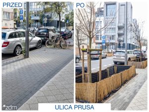 Na ulicach Poznania przybyło zieleni a ubyło betonu